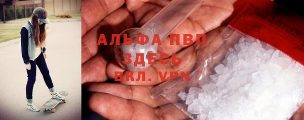 стаф Алексин