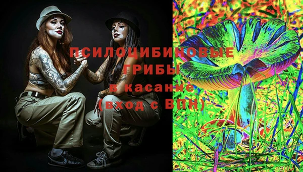 стаф Алексин
