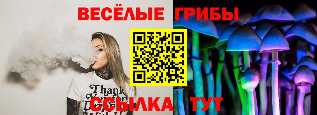 Галлюциногенные грибы мицелий  Вход с VPN  где найти   Галлюциногенные грибы Psilocybine cubensis  Асино 